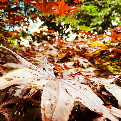 Here's a random little item from Instagram ...